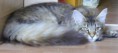 /album/fenykepgaleria/a00000-jpg/