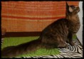 /album/fenykepgaleria/p9080062g-jpg/