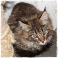 /album/fenykepgaleria/sam-0868piuopip-jpg/