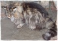 /album/fenykepgaleria/sam-0856hfjfhj-jpg/