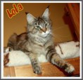 /album/fenykepgaleria/a392892-308177582641684-1844321634-n-jpg/